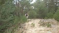 Натиснете снимката за да я уголемите

Име:P8180739.jpg
Прегледи:230
Размер:140.9 КБ
ID:5400778