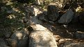 Натиснете снимката за да я уголемите

Име:P8180765.jpg
Прегледи:214
Размер:148.7 КБ
ID:5400804