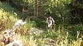 Натиснете снимката за да я уголемите

Име:P8180766.jpg
Прегледи:215
Размер:182.7 КБ
ID:5400805