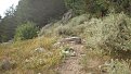 Натиснете снимката за да я уголемите

Име:P8180769.jpg
Прегледи:210
Размер:171.4 КБ
ID:5400808