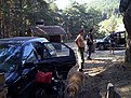 Натиснете снимката за да я уголемите

Име:DCP14401.jpg
Прегледи:172
Размер:182.6 КБ
ID:5403948