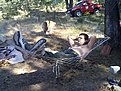 Натиснете снимката за да я уголемите

Име:DCP14404.jpg
Прегледи:180
Размер:208.7 КБ
ID:5403951