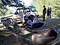 Натиснете снимката за да я уголемите

Име:DCP14405.jpg
Прегледи:173
Размер:206.2 КБ
ID:5403952
