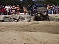 Натиснете снимката за да я уголемите

Име:DSCF6312.jpg
Прегледи:284
Размер:167.4 КБ
ID:5406928