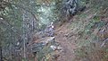 Натиснете снимката за да я уголемите

Име:P9081322.jpg
Прегледи:168
Размер:117.6 КБ
ID:5407362