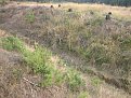 Натиснете снимката за да я уголемите

Име:IMG_2588.jpg
Прегледи:474
Размер:268.9 КБ
ID:5407636