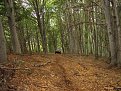 Натиснете снимката за да я уголемите

Име:IMG_2622.jpg
Прегледи:334
Размер:251.4 КБ
ID:5408901