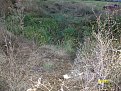 Натиснете снимката за да я уголемите

Име:ALIM1412.jpg
Прегледи:146
Размер:290.0 КБ
ID:5410703