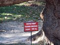 Натиснете снимката за да я уголемите

Име:DSC03303.JPG
Прегледи:686
Размер:155.9 КБ
ID:5413575