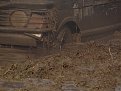 Натиснете снимката за да я уголемите

Име:DSC05660.jpg
Прегледи:346
Размер:125.3 КБ
ID:5428248