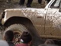 Натиснете снимката за да я уголемите

Име:DSC05653.jpg
Прегледи:337
Размер:156.6 КБ
ID:5428320