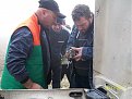 Натиснете снимката за да я уголемите

Име:Нива-събор-24-25.11.2012г. 006.jpg
Прегледи:237
Размер:123.0 КБ
ID:5428768