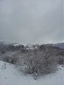 Натиснете снимката за да я уголемите

Име:20121209_121107.jpg
Прегледи:423
Размер:64.7 КБ
ID:5433630