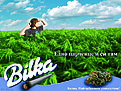 Натиснете снимката за да я уголемите

Име:bilka.jpg
Прегледи:159
Размер:1.09 МБ
ID:5435794