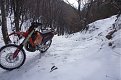 Натиснете снимката за да я уголемите

Име:P1030519.jpg
Прегледи:355
Размер:156.6 КБ
ID:5436759
