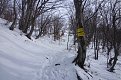 Натиснете снимката за да я уголемите

Име:P1030520.jpg
Прегледи:353
Размер:207.2 КБ
ID:5436760