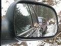 Натиснете снимката за да я уголемите

Име:IMG_4643.JPG
Прегледи:316
Размер:193.8 КБ
ID:5437014