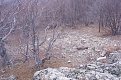 Натиснете снимката за да я уголемите

Име:P1030577.jpg
Прегледи:414
Размер:239.7 КБ
ID:5437821