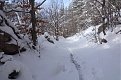 Натиснете снимката за да я уголемите

Име:P1030661.jpg
Прегледи:582
Размер:163.1 КБ
ID:5441877