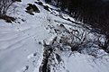 Натиснете снимката за да я уголемите

Име:P1030805.jpg
Прегледи:351
Размер:158.9 КБ
ID:5444559