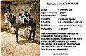 Натиснете снимката за да я уголемите

Име:270831_541229895896117_699809581_n.jpg
Прегледи:252
Размер:84.6 КБ
ID:5447426