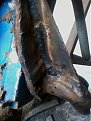 Натиснете снимката за да я уголемите

Име:IMG_20130203_131310.jpg
Прегледи:435
Размер:68.6 КБ
ID:5449844