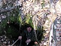 Натиснете снимката за да я уголемите

Име:5778803b.jpg
Прегледи:237
Размер:175.8 КБ
ID:5452001