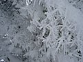 Натиснете снимката за да я уголемите

Име:DSC02533.jpg
Прегледи:495
Размер:102.9 КБ
ID:5453373