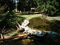 Натиснете снимката за да я уголемите

Име:DSC06956.jpg
Прегледи:282
Размер:200.3 КБ
ID:5459754