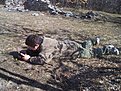 Натиснете снимката за да я уголемите

Име:DCP15645.jpg
Прегледи:439
Размер:208.7 КБ
ID:5460548