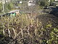 Натиснете снимката за да я уголемите

Име:DSC01746.jpg
Прегледи:104
Размер:325.4 КБ
ID:5464425