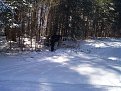 Натиснете снимката за да я уголемите

Име:DCP15704.jpg
Прегледи:359
Размер:151.4 КБ
ID:5465002