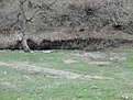 Натиснете снимката за да я уголемите

Име:DSC00091.jpg
Прегледи:388
Размер:203.6 КБ
ID:5468797