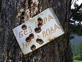 Натиснете снимката за да я уголемите

Име:PIC_0015.jpg
Прегледи:739
Размер:223.4 КБ
ID:5473488