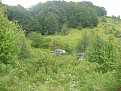 Натиснете снимката за да я уголемите

Име:P1010886.jpg
Прегледи:645
Размер:250.9 КБ
ID:5492593