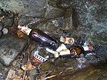Натиснете снимката за да я уголемите

Име:DCP16165.jpg
Прегледи:198
Размер:221.8 КБ
ID:5496831