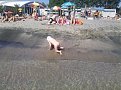 Натиснете снимката за да я уголемите

Име:IMG_20130704_111128.jpg
Прегледи:542
Размер:184.8 КБ
ID:5499505