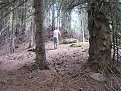 Натиснете снимката за да я уголемите

Име:IMG_4768.jpg
Прегледи:693
Размер:283.6 КБ
ID:5509002