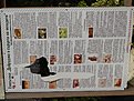 Натиснете снимката за да я уголемите

Име:image.jpg
Прегледи:482
Размер:225.4 КБ
ID:5514960