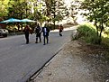 Натиснете снимката за да я уголемите

Име:IMG_0865.jpg
Прегледи:246
Размер:254.4 КБ
ID:5518814