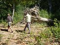 Натиснете снимката за да я уголемите

Име:Тренировка 081.jpg
Прегледи:198
Размер:315.8 КБ
ID:5519921