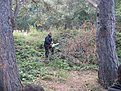 Натиснете снимката за да я уголемите

Име:IMG_0070.jpg
Прегледи:439
Размер:260.6 КБ
ID:5520408