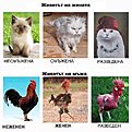 Натиснете снимката за да я уголемите

Име:uploadfromtaptalk1380644732584.jpg
Прегледи:970
Размер:97.8 КБ
ID:5523094