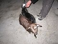 Натиснете снимката за да я уголемите

Име:IMG_4345.jpg
Прегледи:243
Размер:147.2 КБ
ID:5523141