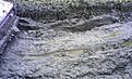 Натиснете снимката за да я уголемите

Име:IMG_20131103_165333.jpg
Прегледи:417
Размер:173.6 КБ
ID:5533752