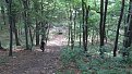 Натиснете снимката за да я уголемите

Име:IMG_4676.jpg
Прегледи:254
Размер:217.2 КБ
ID:5536127