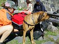 Натиснете снимката за да я уголемите

Име:PIC_0058.jpg
Прегледи:539
Размер:230.9 КБ
ID:5536156