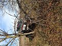 Натиснете снимката за да я уголемите

Име:IMG_0333.jpg
Прегледи:380
Размер:306.9 КБ
ID:5536162
