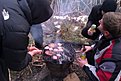 Натиснете снимката за да я уголемите

Име:IMAG0212.jpg
Прегледи:562
Размер:138.1 КБ
ID:5546225