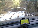 Натиснете снимката за да я уголемите

Име:Снимка0801.jpg
Прегледи:649
Размер:130.6 КБ
ID:5547959